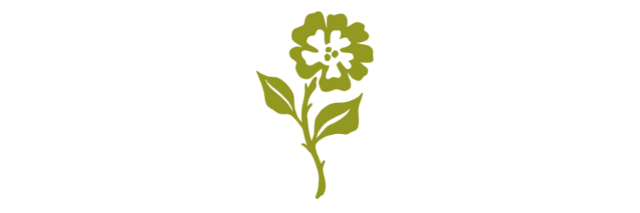 Illustrated single green flower.