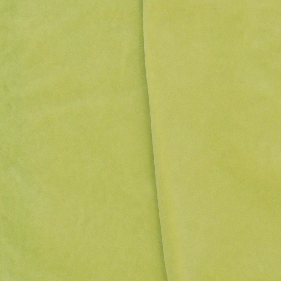 Signature Velvet - Moss Green Light