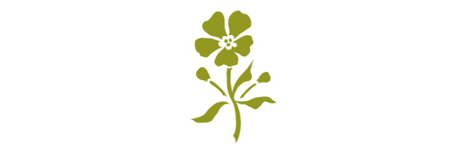 Illustrated single green flower.