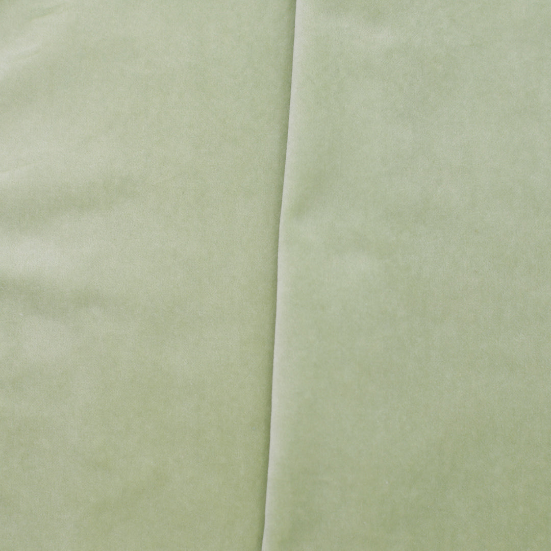 NEW Signature Velvet - Sage Light